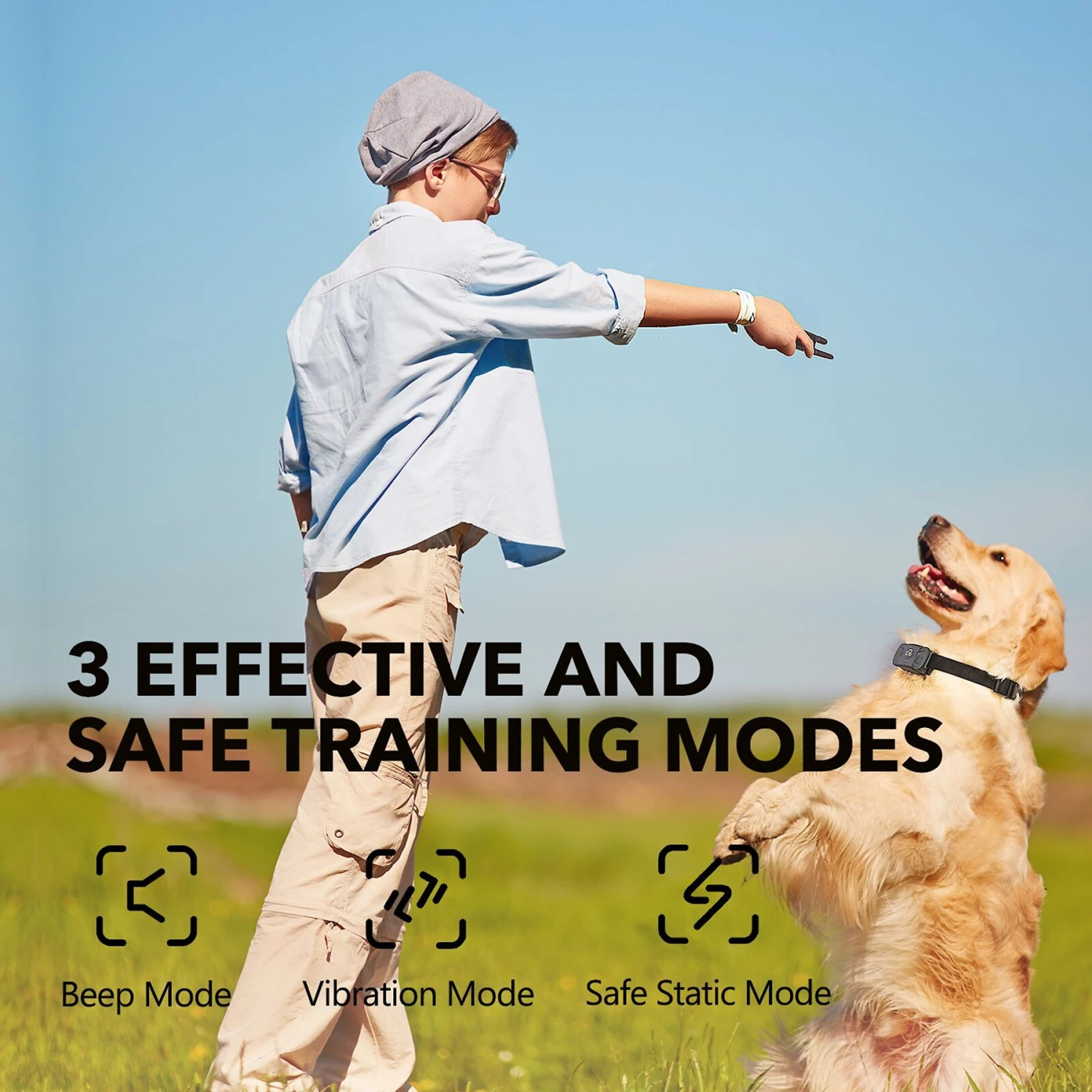 DogCare TC-System-11 Dog Training System, Small 3 DogCare TC-System-11 Dog Training System, Small - Image 3