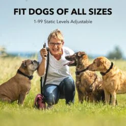 DogCare TC-System-11 Dog Training System, Small 10 DogCare TC-System-11 Dog Training System, Small -PetSafe Kong Shop 336448 PT3. AC SS1800 V1637002889