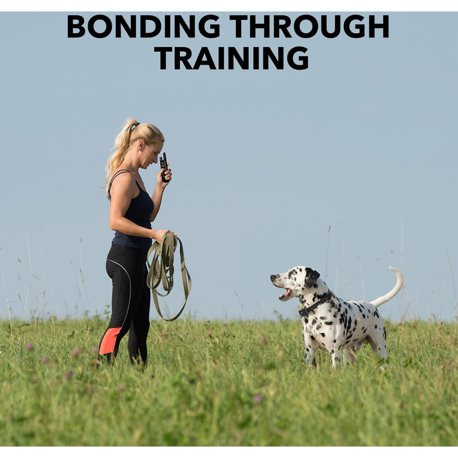 DogCare TC-System-11 Two Receiver Dog Training System, Small 2 DogCare TC-System-11 Two Receiver Dog Training System, Small - Image 2