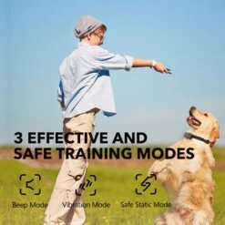 DogCare TC-System-11 Two Receiver Dog Training System, Small 9 DogCare TC-System-11 Two Receiver Dog Training System, Small -PetSafe Kong Shop 336452 PT2. AC SS1800 V1637000523