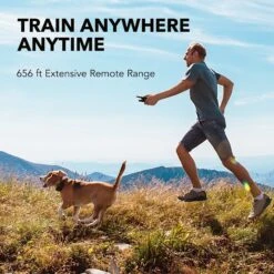 DogCare TC-System-11 Two Receiver Dog Training System, Small 12 DogCare TC-System-11 Two Receiver Dog Training System, Small -PetSafe Kong Shop 336452 PT5. AC SS1800 V1636999584