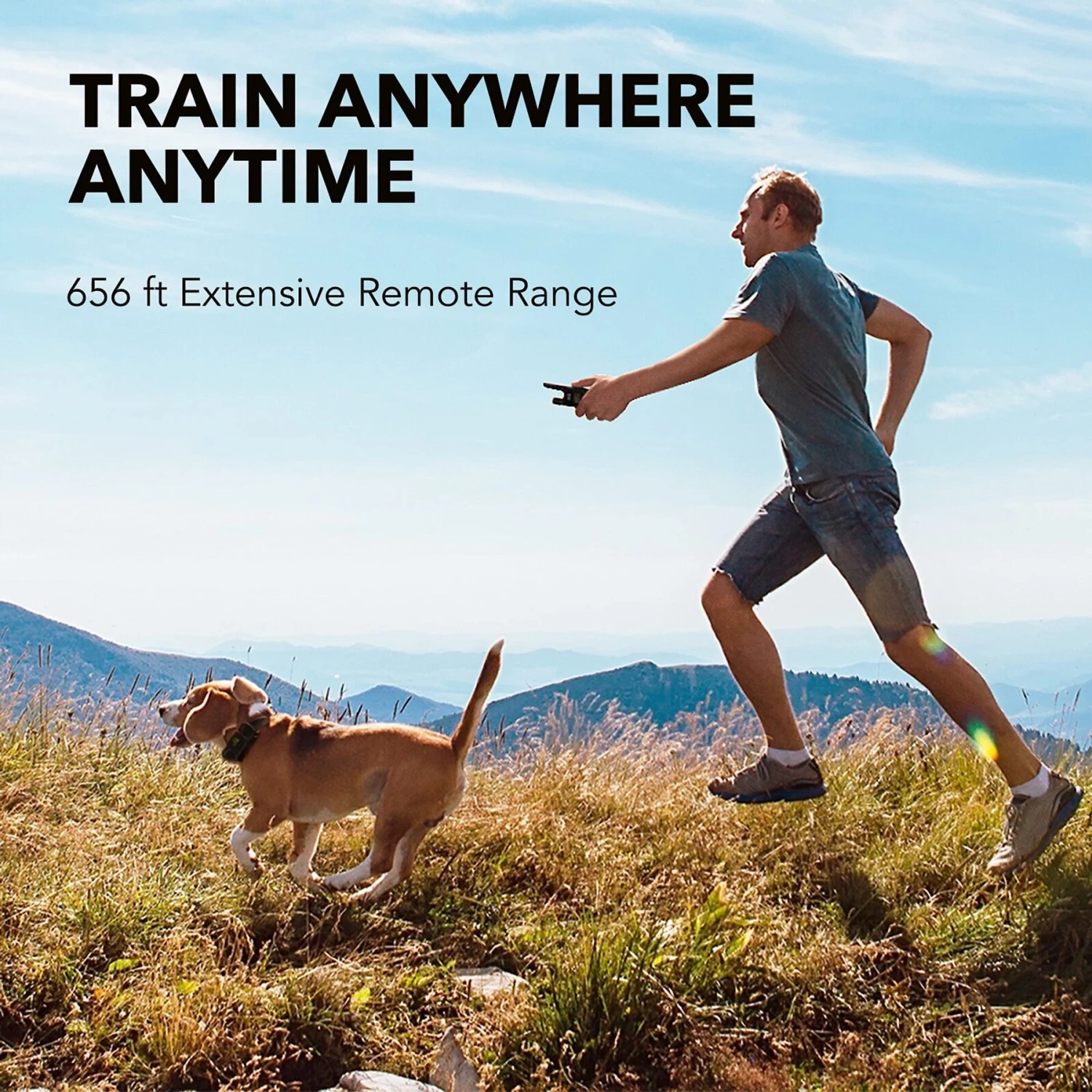 DogCare TC-System-11 Two Receiver Dog Training System, Small 6 DogCare TC-System-11 Two Receiver Dog Training System, Small - Image 6