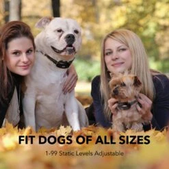 DogCare TC-System-15 Dog Training System, Small -PetSafe Kong Shop 336458 PT4. AC SS1800 V1637000842