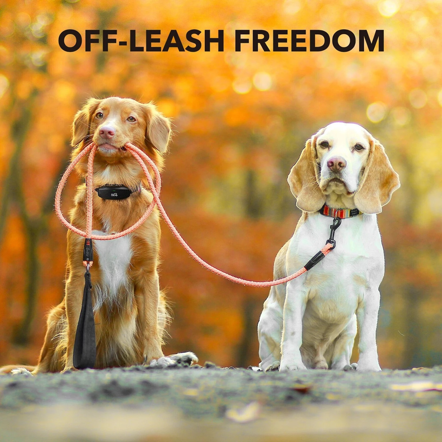 DogCare TC-System-15 Dog Training System Receiver, Small 2 DogCare TC-System-15 Dog Training System Receiver, Small - Image 2