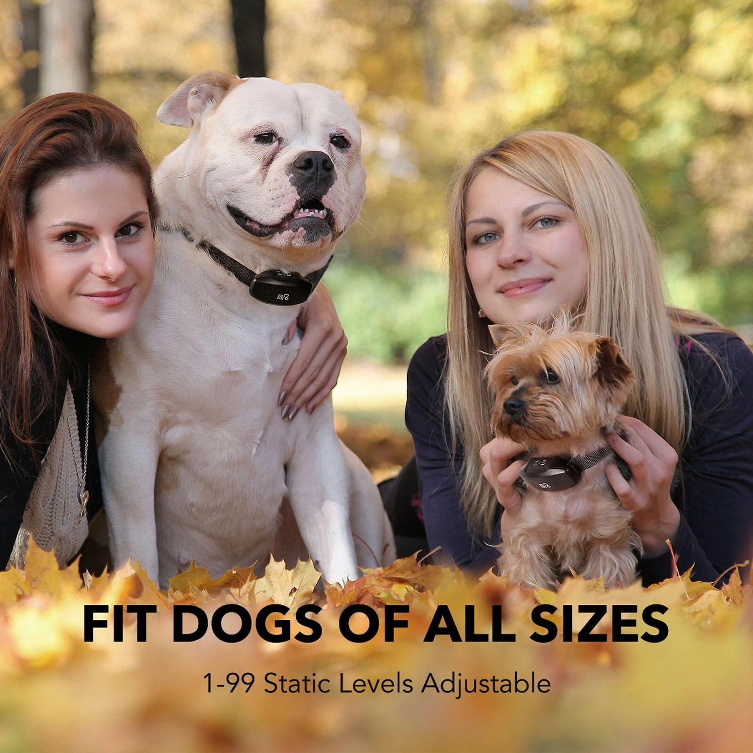 DogCare TC-System-15 Dog Training System Receiver, Small 4 DogCare TC-System-15 Dog Training System Receiver, Small - Image 4