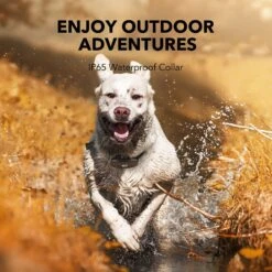 DogCare TC-System-15 Dog Training System Receiver, Small 11 DogCare TC-System-15 Dog Training System Receiver, Small -PetSafe Kong Shop 336461 PT4. AC SS1800 V1636996898