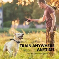 DogCare TC-System-15 Dog Training System Receiver, Small 12 DogCare TC-System-15 Dog Training System Receiver, Small -PetSafe Kong Shop 336461 PT5. AC SS1800 V1636997535