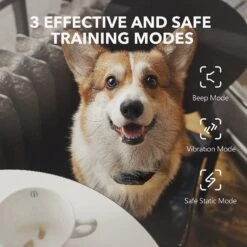 DogCare TC-System-18 Dog Training System, Small -PetSafe Kong Shop 336463 PT2. AC SS1800 V1637178984