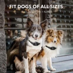 DogCare TC-System-18 Dog Training System, Small -PetSafe Kong Shop 336463 PT3. AC SS1800 V1637171811