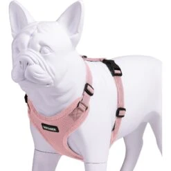 Best Pet Supplies Voyager Step-in Lock Dog Harness -PetSafe Kong Shop 336651 PT2. AC SS1800 V1635349979