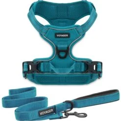 Best Pet Supplies Voyager Dual Attachment Outdoor Dog Harness & Leash Bundle