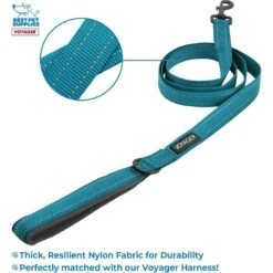 Best Pet Supplies Voyager Dual Attachment Outdoor Dog Harness & Leash Bundle -PetSafe Kong Shop 336742 PT2. AC SS1800 V1635531386