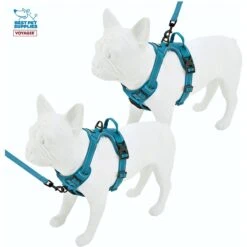 Best Pet Supplies Voyager Dual Attachment Outdoor Dog Harness & Leash Bundle -PetSafe Kong Shop 336742 PT3. AC SS1800 V1635531076