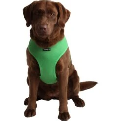 Puppia Black Trim Polyester Back Clip Dog Harness 6 Puppia Black Trim Polyester Back Clip Dog Harness -PetSafe Kong Shop 336870 PT2. AC SS1800 V1634840499