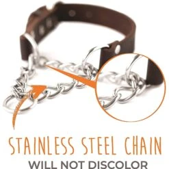 Mighty Paw Leather Martingale Dog Collar -PetSafe Kong Shop 338556 PT2. AC SS1800 V1636475523