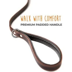 Mighty Paw Leather Dog Leash, 6-ft Long -PetSafe Kong Shop 338559 PT2. AC SS1800 V1636475478