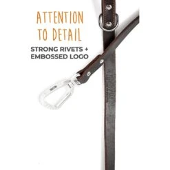 Mighty Paw Leather Dog Leash, 6-ft Long -PetSafe Kong Shop 338559 PT3. AC SS1800 V1636476679