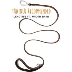 Mighty Paw Leather Dog Leash, 6-ft Long -PetSafe Kong Shop 338559 PT4. AC SS1800 V1636476978