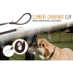 Mighty Paw Leather Dog Leash, 6-ft Long -PetSafe Kong Shop 338559 PT5. AC SS1800 V1636473694