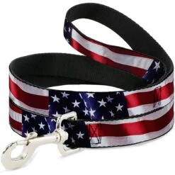 Buckle-Down American Flag Vivid Dog Leash
