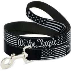 Buckle-Down Americana Flag Dog Leash