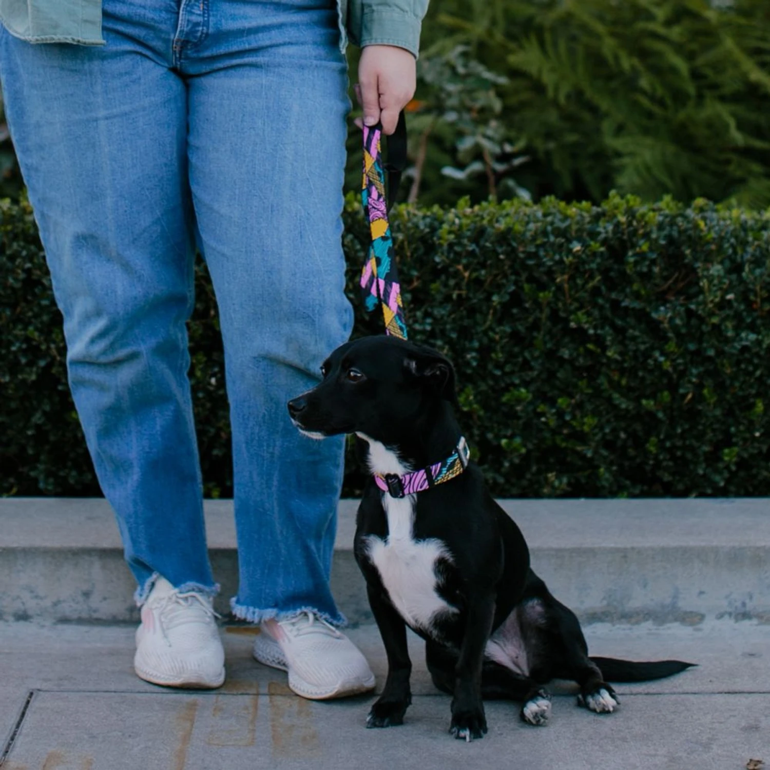 Buckle-Down Nightmare Before Christmas Sally Dog Leash 3 Buckle-Down Nightmare Before Christmas Sally Dog Leash - Image 3