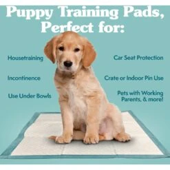 Simple Solution Extra Large, 6 Layer Training Puppy Pads 10 Simple Solution Extra Large, 6 Layer Training Puppy Pads -PetSafe Kong Shop 339750 PT2. AC SS1800 V1703797858