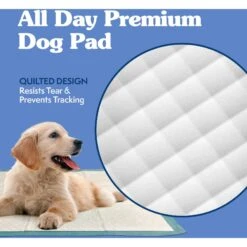 Simple Solution Extra Large, 6 Layer Training Puppy Pads 11 Simple Solution Extra Large, 6 Layer Training Puppy Pads -PetSafe Kong Shop 339750 PT3. AC SS1800 V1703797747
