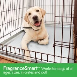 Simple Solution FragranceSmart Odor Control All Day, Green Tea Fragrance Odor Neutralizer With Wetness Indicator Dog Pads, 100 Count -PetSafe Kong Shop 339752 PT5. AC SS1800 V1636062089