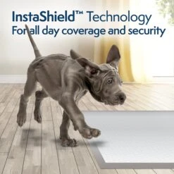 Simple Solution FragranceSmart Odor Control Green Tea Fragrance Odor Neutralizer With Wetness Indicator Puppy Training Pads, 100 Count 11 Simple Solution FragranceSmart Odor Control Green Tea Fragrance Odor Neutralizer With Wetness Indicator Puppy Training Pads, 100 Count -PetSafe Kong Shop 339754 PT3. AC SS1800 V1636061819