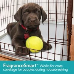 Simple Solution FragranceSmart Odor Control Green Tea Fragrance Odor Neutralizer With Wetness Indicator Puppy Training Pads, 100 Count 14 Simple Solution FragranceSmart Odor Control Green Tea Fragrance Odor Neutralizer With Wetness Indicator Puppy Training Pads, 100 Count -PetSafe Kong Shop 339754 PT6. AC SS1800 V1636062393