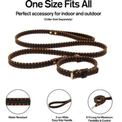 Scotch & Co The Lola Handcrafted Dog Leash 11 Scotch & Co The Lola Handcrafted Dog Leash -PetSafe Kong Shop 341918 PT2. AC SS1800 V1641430073