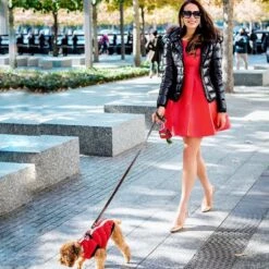 Scotch & Co The Lola Handcrafted Dog Leash 17 Scotch & Co The Lola Handcrafted Dog Leash -PetSafe Kong Shop 341918 PT8. AC SS1800 V1641441724