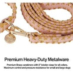 Scotch & Co Pink/Gold Handcrafted Dog Leash 11 Scotch & Co Pink/Gold Handcrafted Dog Leash -PetSafe Kong Shop 341920 PT3. AC SS1800 V1641424671