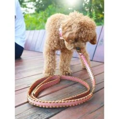 Scotch & Co Pink/Gold Handcrafted Dog Leash 14 Scotch & Co Pink/Gold Handcrafted Dog Leash -PetSafe Kong Shop 341920 PT6. AC SS1800 V1641433060