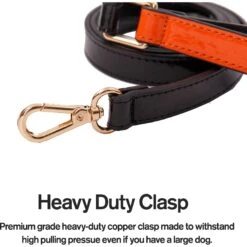 Scotch & Co The Butterscotch Handcrafted Dog Leash 10 Scotch & Co The Butterscotch Handcrafted Dog Leash -PetSafe Kong Shop 341922 PT2. AC SS1800 V1641425870