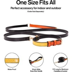 Scotch & Co The Butterscotch Handcrafted Dog Leash 13 Scotch & Co The Butterscotch Handcrafted Dog Leash -PetSafe Kong Shop 341922 PT5. AC SS1800 V1641434811