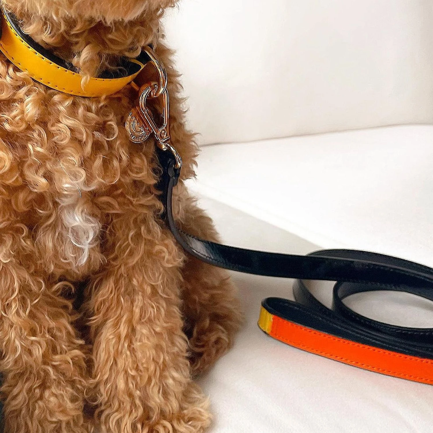 Scotch & Co The Butterscotch Handcrafted Dog Leash 8 Scotch & Co The Butterscotch Handcrafted Dog Leash - Image 8