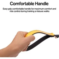 Scotch & Co The Milo Handcrafted Dog Leash -PetSafe Kong Shop 341924 PT2. AC SS1800 V1641443544