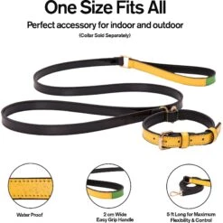 Scotch & Co The Milo Handcrafted Dog Leash -PetSafe Kong Shop 341924 PT4. AC SS1800 V1641426712