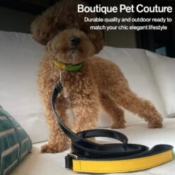 Scotch & Co The Milo Handcrafted Dog Leash -PetSafe Kong Shop 341924 PT5. AC SS1800 V1641425611