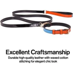 Scotch & Co The Daisy Handcrafted Dog Leash 11 Scotch & Co The Daisy Handcrafted Dog Leash -PetSafe Kong Shop 341926 PT3. AC SS1800 V1641432382