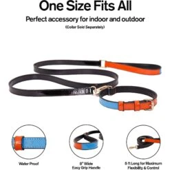 Scotch & Co The Daisy Handcrafted Dog Leash 12 Scotch & Co The Daisy Handcrafted Dog Leash -PetSafe Kong Shop 341926 PT4. AC SS1800 V1641426123