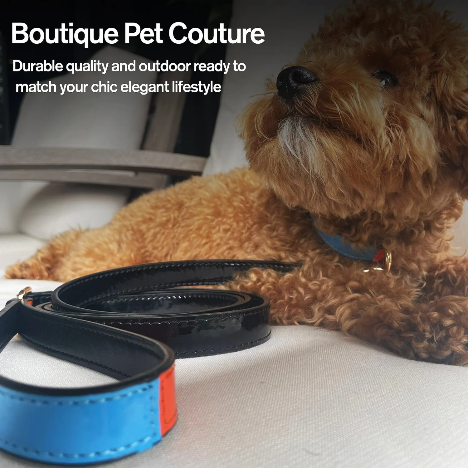 Scotch & Co The Daisy Handcrafted Dog Leash 6 Scotch & Co The Daisy Handcrafted Dog Leash - Image 6