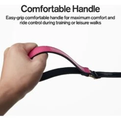Scotch & Co Teal/Pink Handcrafted Dog Leash -PetSafe Kong Shop 341928 PT2. AC SS1800 V1641435470