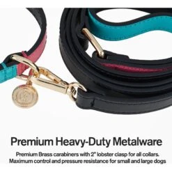 Scotch & Co Teal/Pink Handcrafted Dog Leash -PetSafe Kong Shop 341928 PT3. AC SS1800 V1641428310