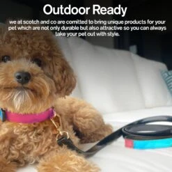 Scotch & Co Teal/Pink Handcrafted Dog Leash -PetSafe Kong Shop 341928 PT5. AC SS1800 V1641437811