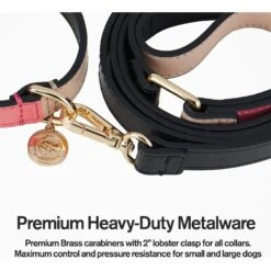 Scotch & Co Pink/Tan Handcrafted Dog Leash -PetSafe Kong Shop 341930 PT2. AC SS1800 V1641428795