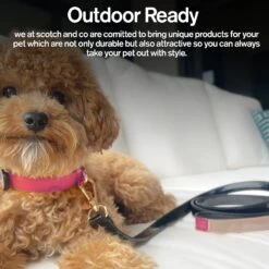 Scotch & Co Pink/Tan Handcrafted Dog Leash -PetSafe Kong Shop 341930 PT4. AC SS1800 V1641421652