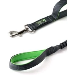 Mighty Paw Nylon Dual Handle Bungee Dog Leash, 46-in -PetSafe Kong Shop 342210 PT2. AC SS1800 V1636994505